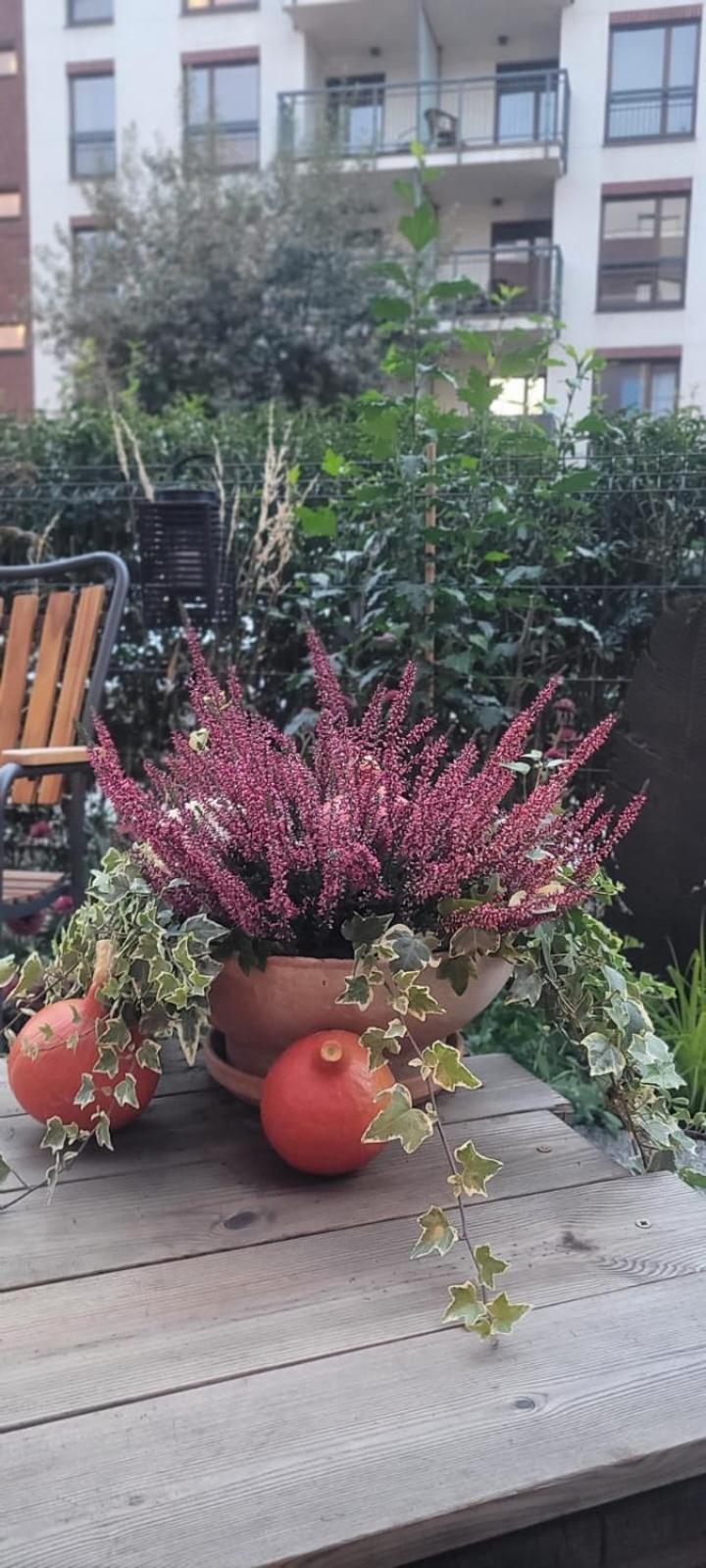 Riverside Garden Apartament Marina 그단스크 외부 사진
