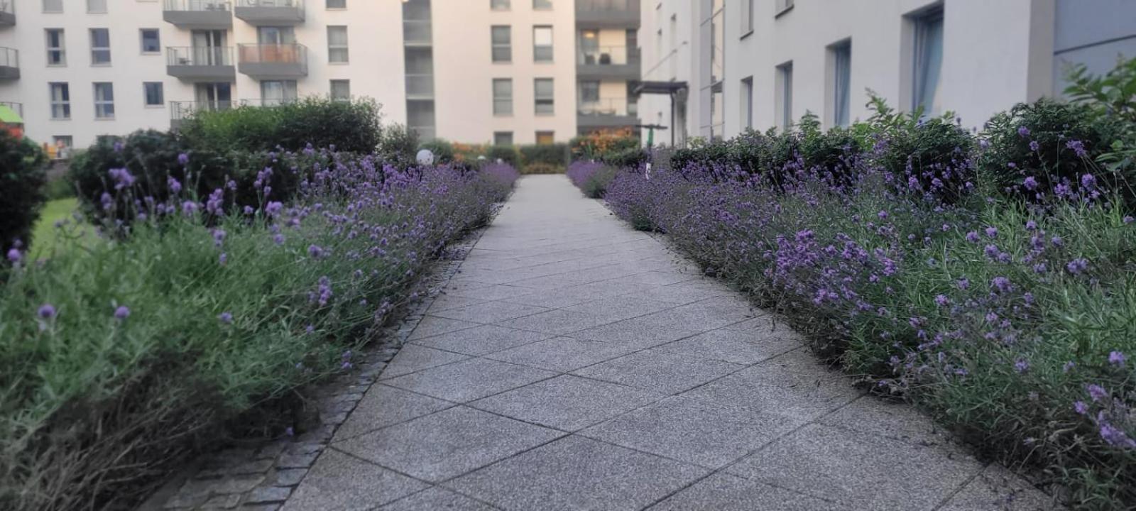 Riverside Garden Apartament Marina 그단스크 외부 사진